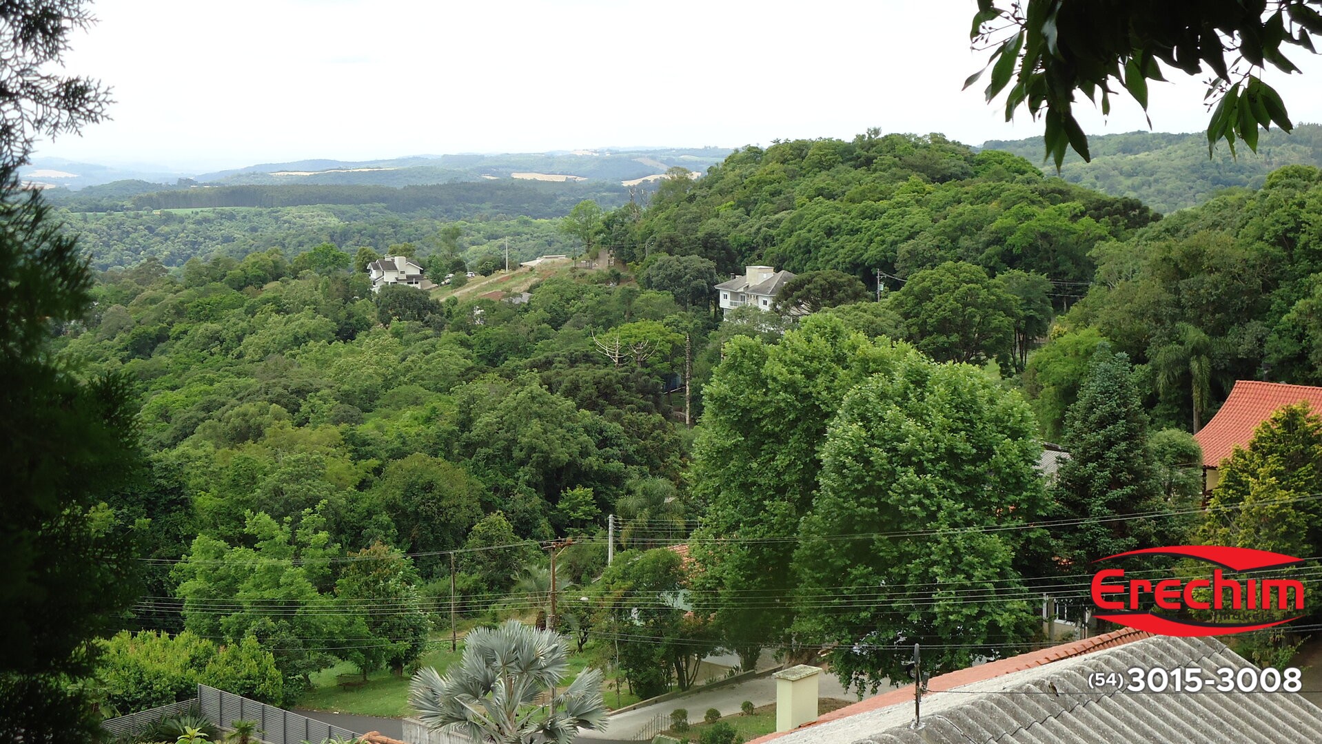 Imóvel 3601