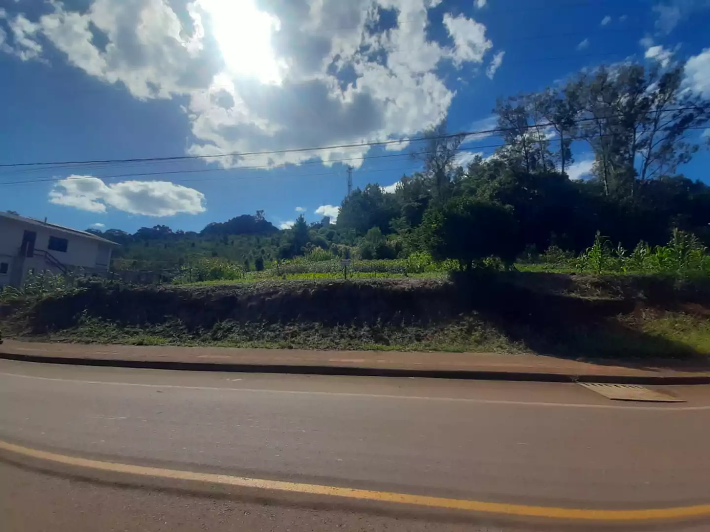 Imóvel 3953