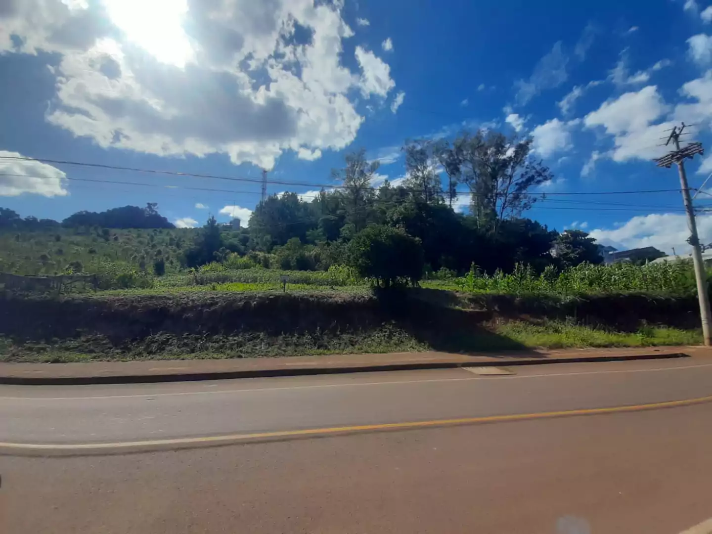 Imóvel 3953