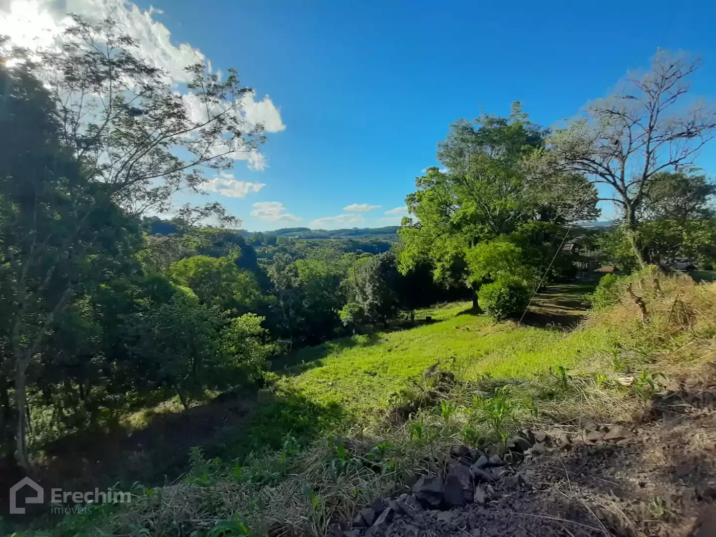 Imóvel 3979