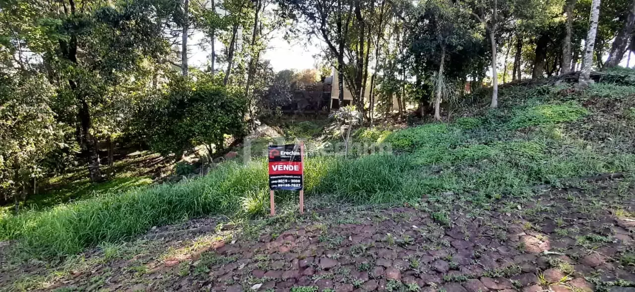 Imóvel 4242