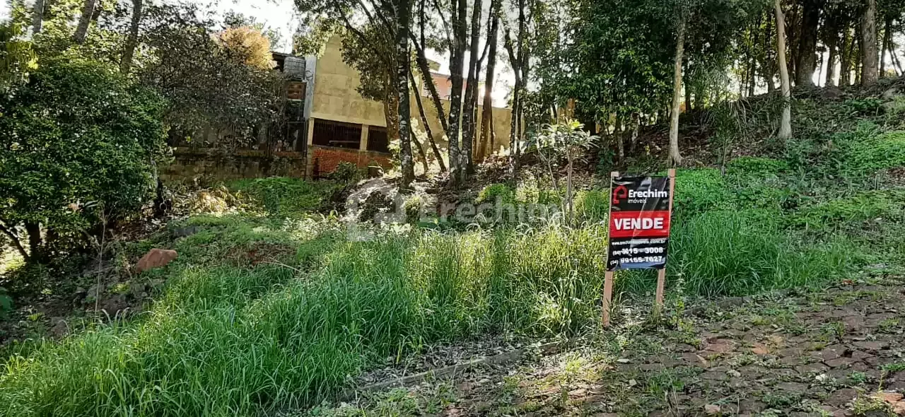 Imóvel 4242