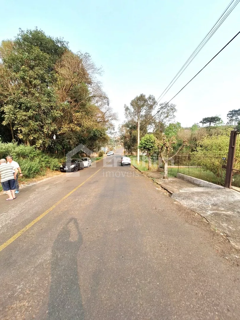 Imóvel 4451
