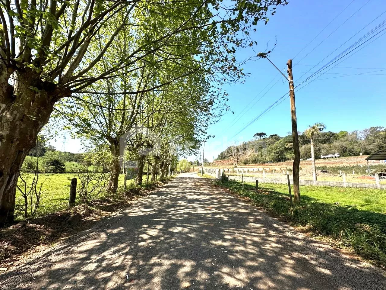 Imóvel 4459