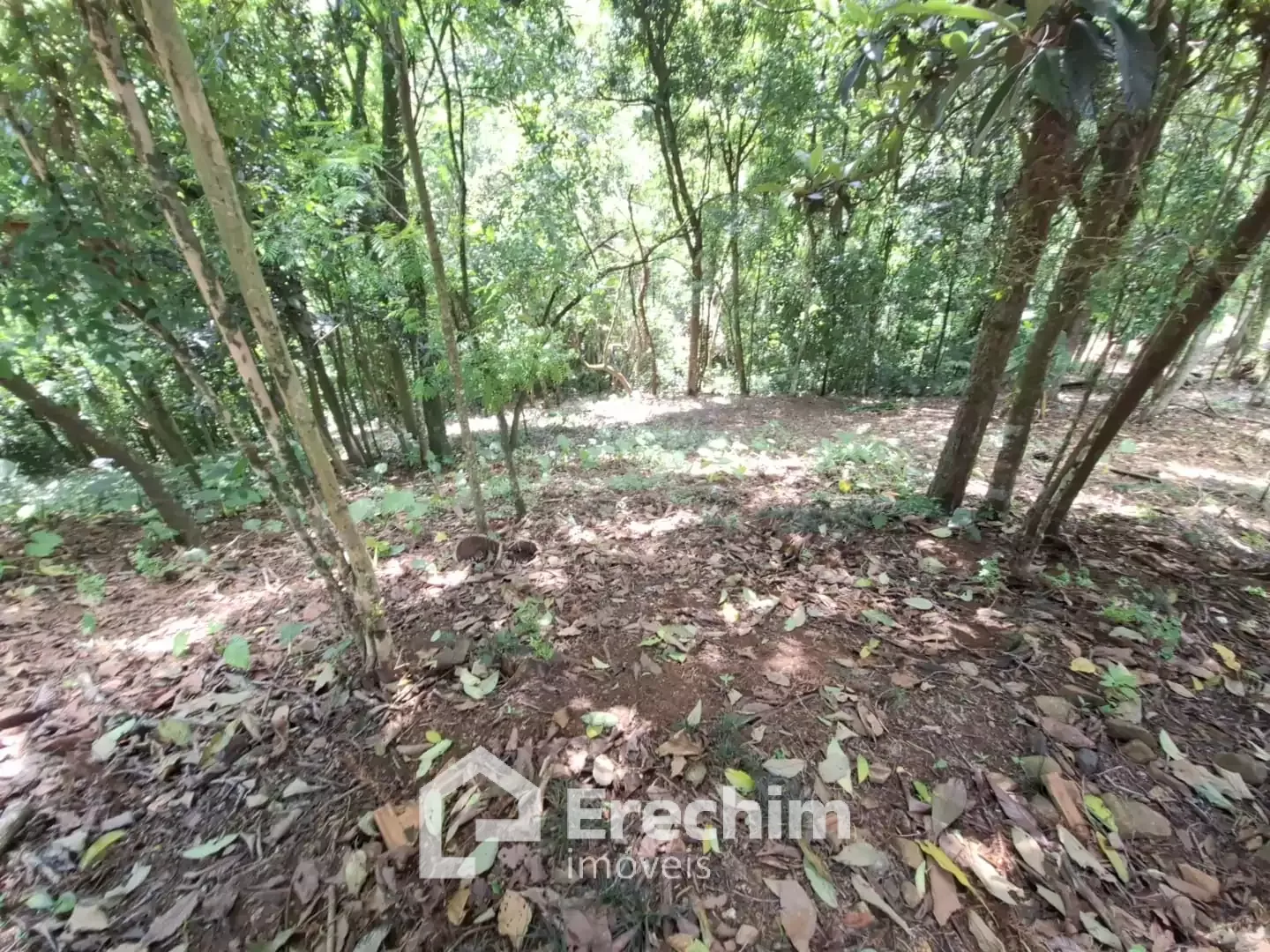 Imóvel 4630