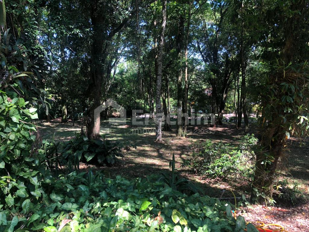 Imóvel 5159